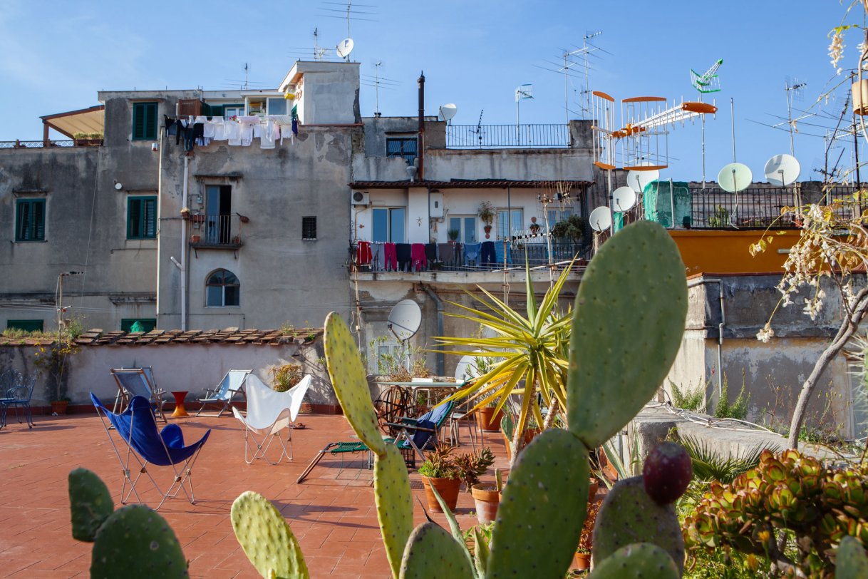 Photographie professionnelle d'un paysage avec un bâtiment et un cactus